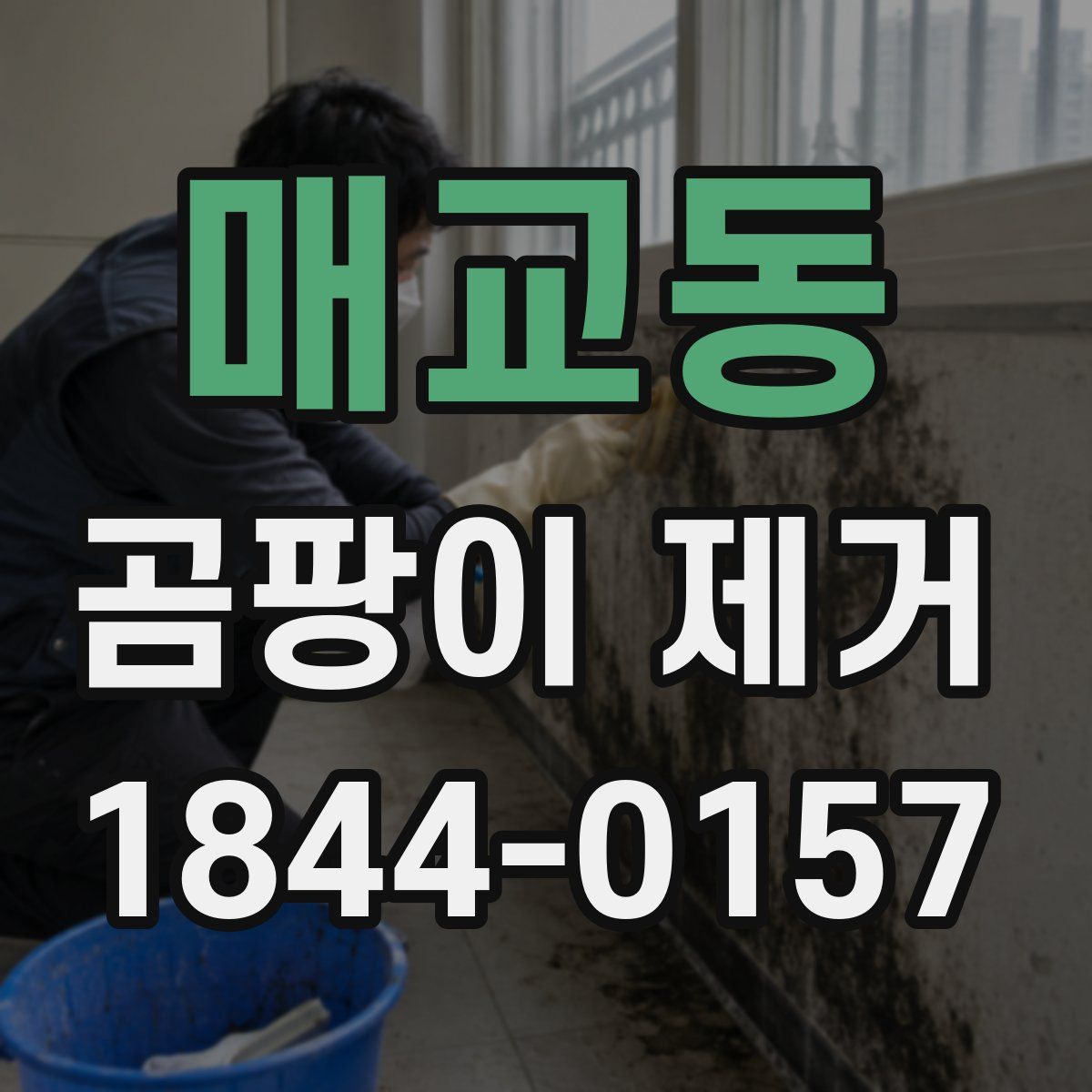 매교동 곰팡이 제거