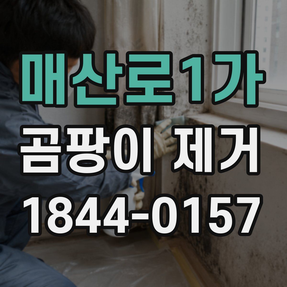 매산로1가 곰팡이 제거