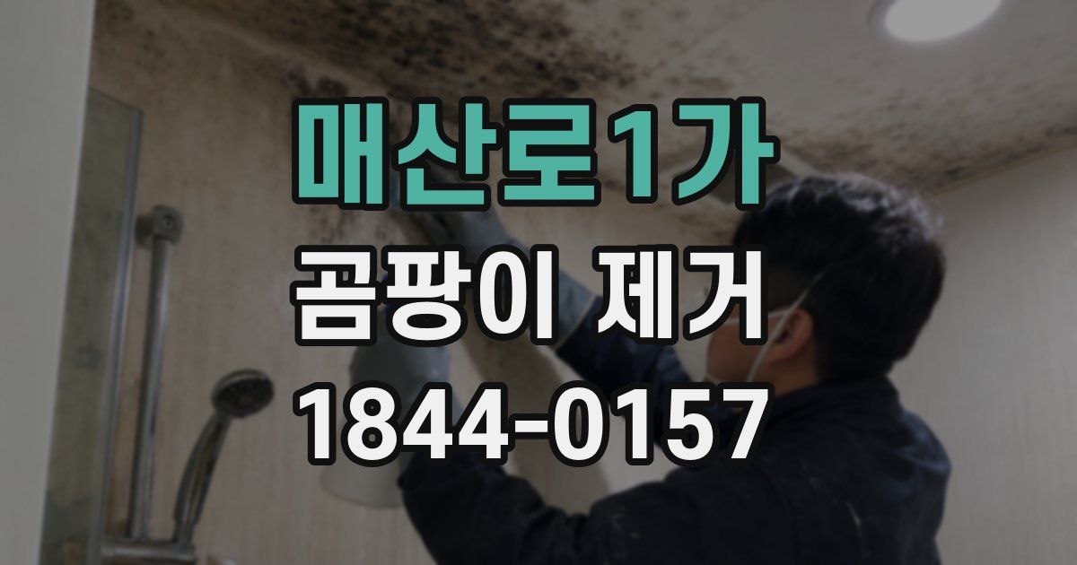 매산로1가 곰팡이 제거