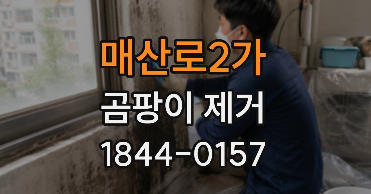 매산로2가 곰팡이 제거