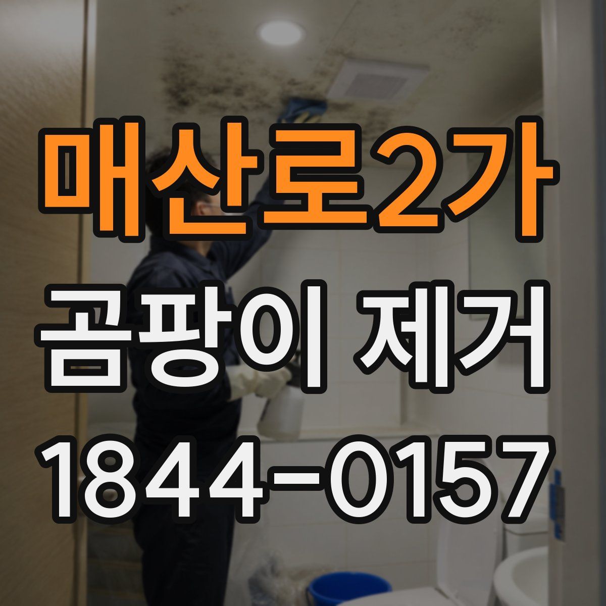 매산로2가 곰팡이 제거