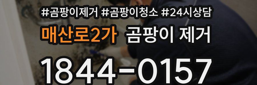 매산로2가 곰팡이 제거