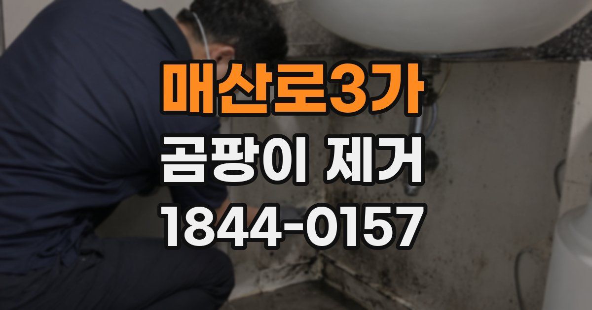 매산로3가 곰팡이 제거