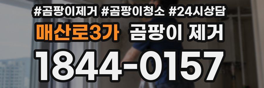매산로3가 곰팡이 제거
