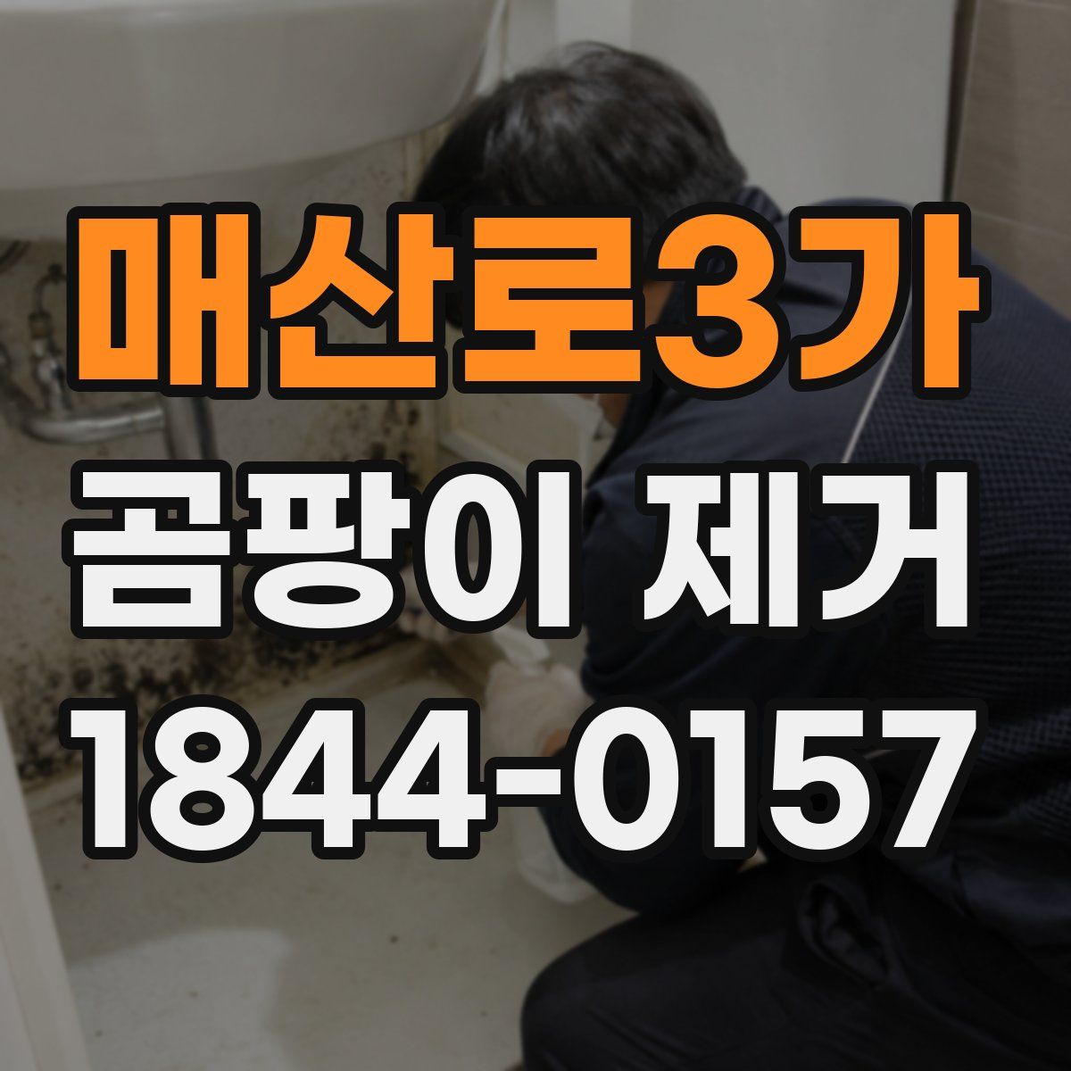 매산로3가 곰팡이 제거