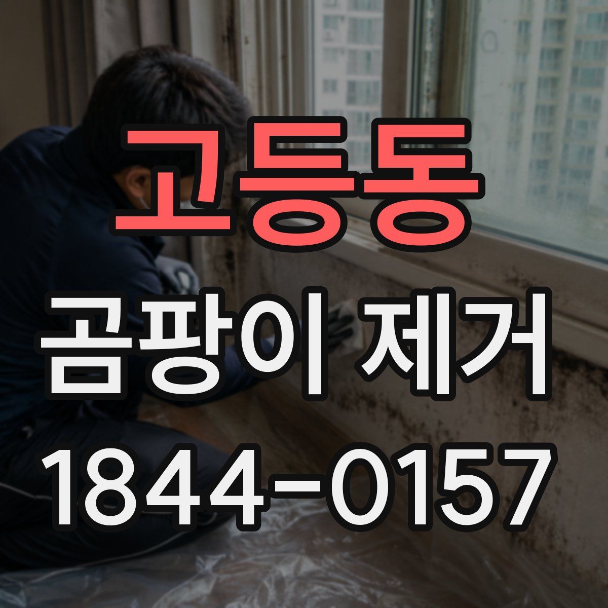 고등동 곰팡이 제거
