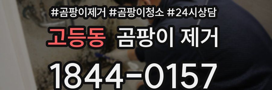 고등동 곰팡이 제거
