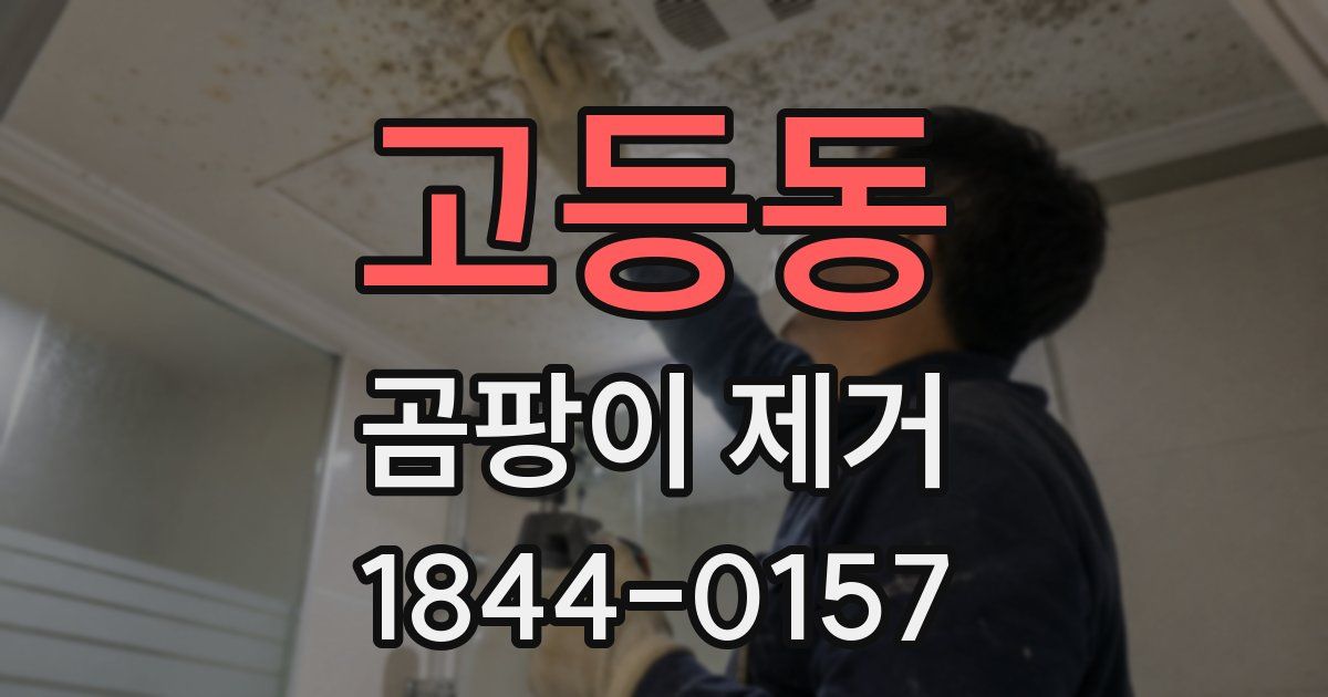 고등동 곰팡이 제거