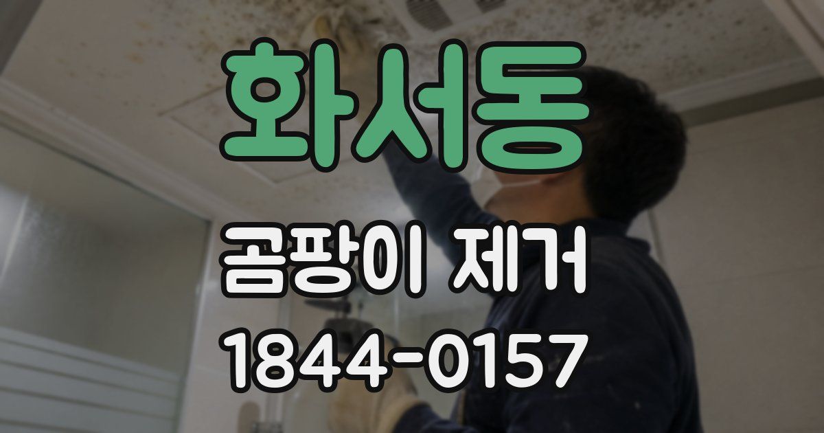 화서동 곰팡이 제거