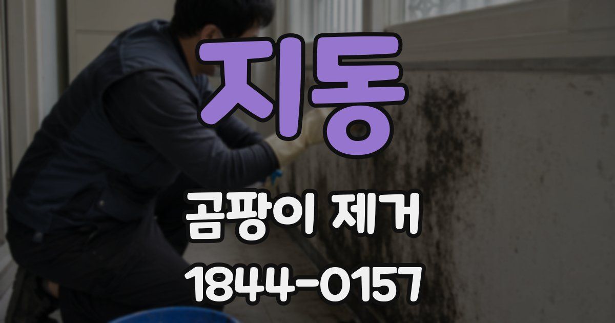 지동 곰팡이 제거