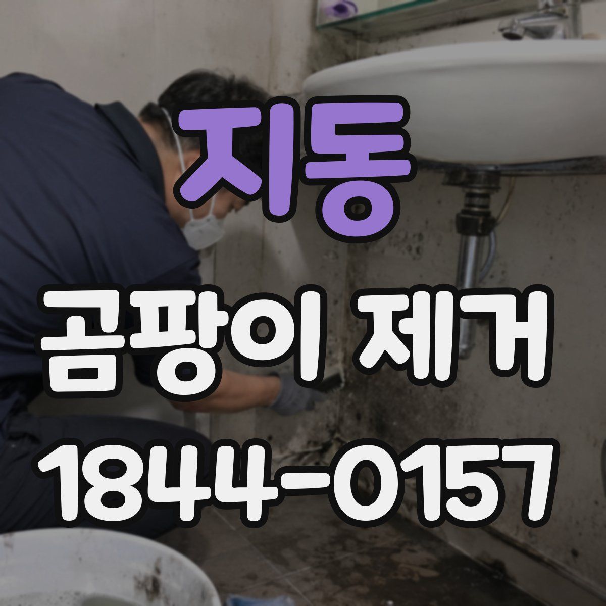 지동 곰팡이 제거