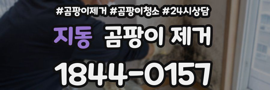 지동 곰팡이 제거