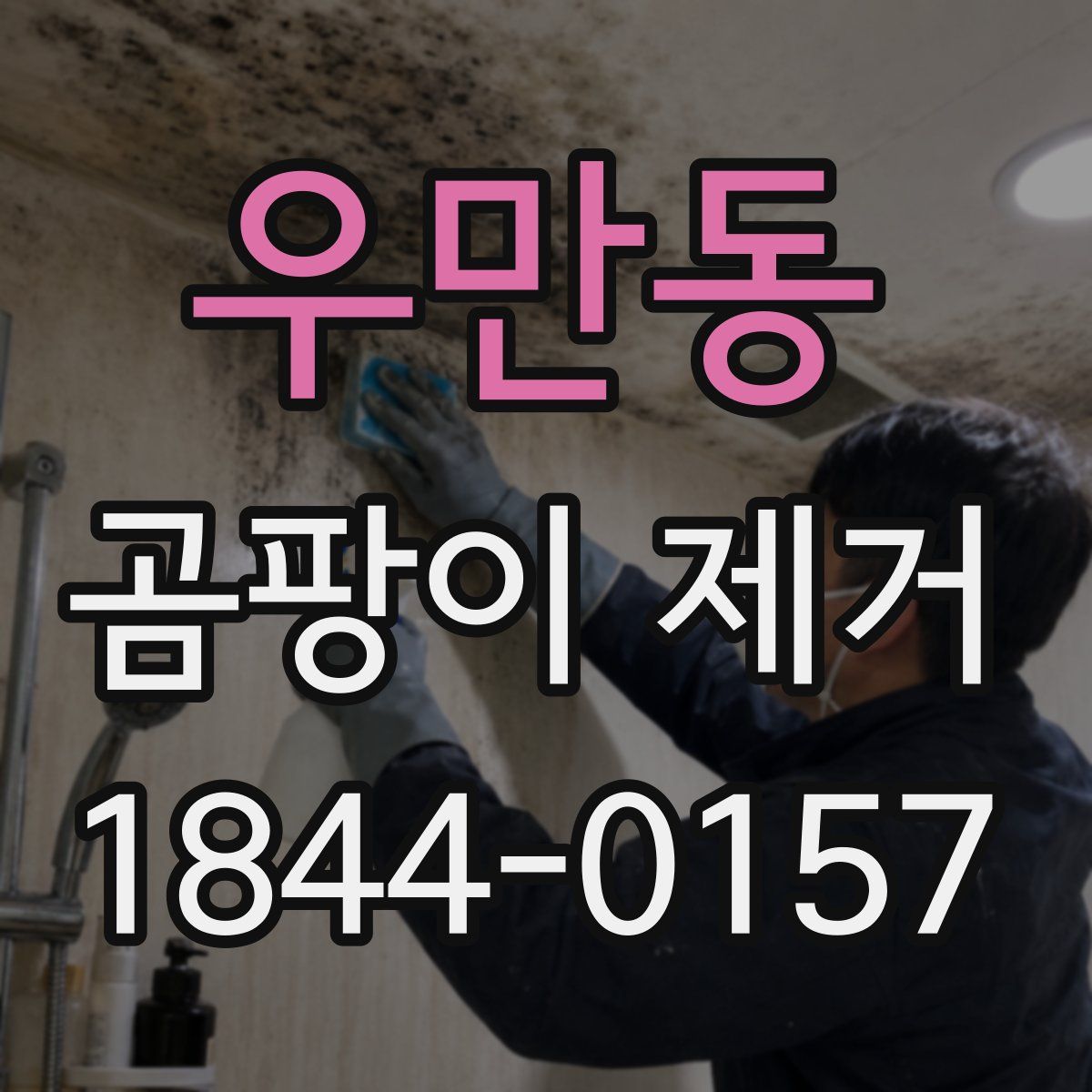 우만동 곰팡이 제거