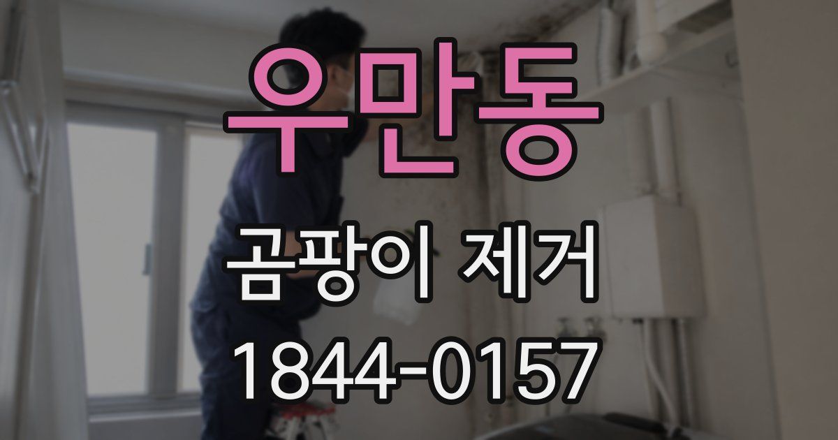 우만동 곰팡이 제거