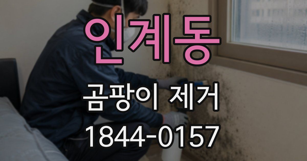 인계동 곰팡이 제거