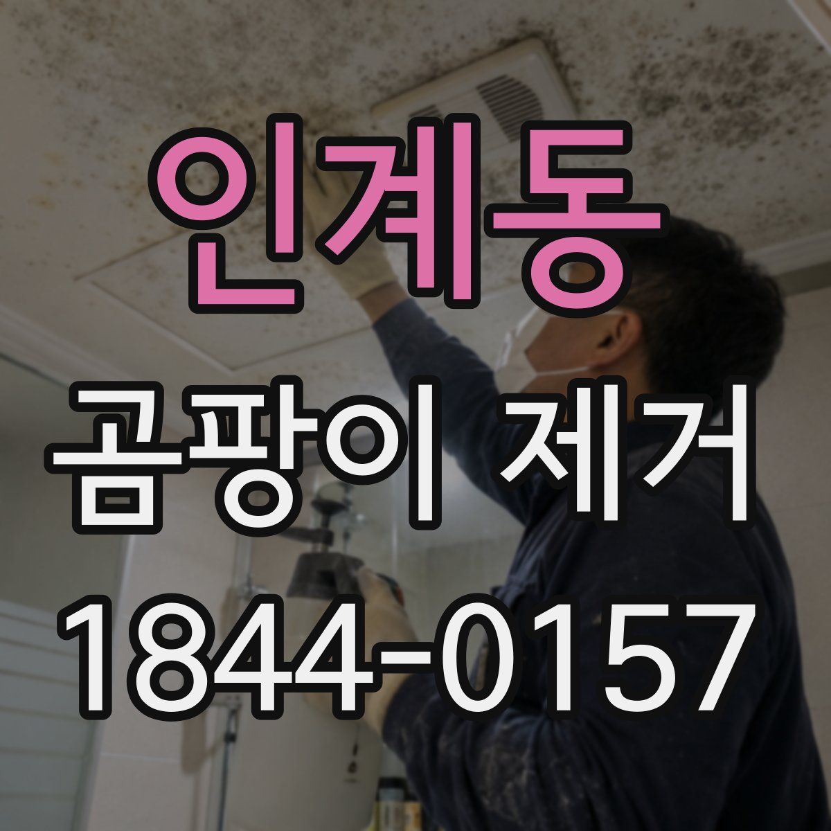인계동 곰팡이 제거
