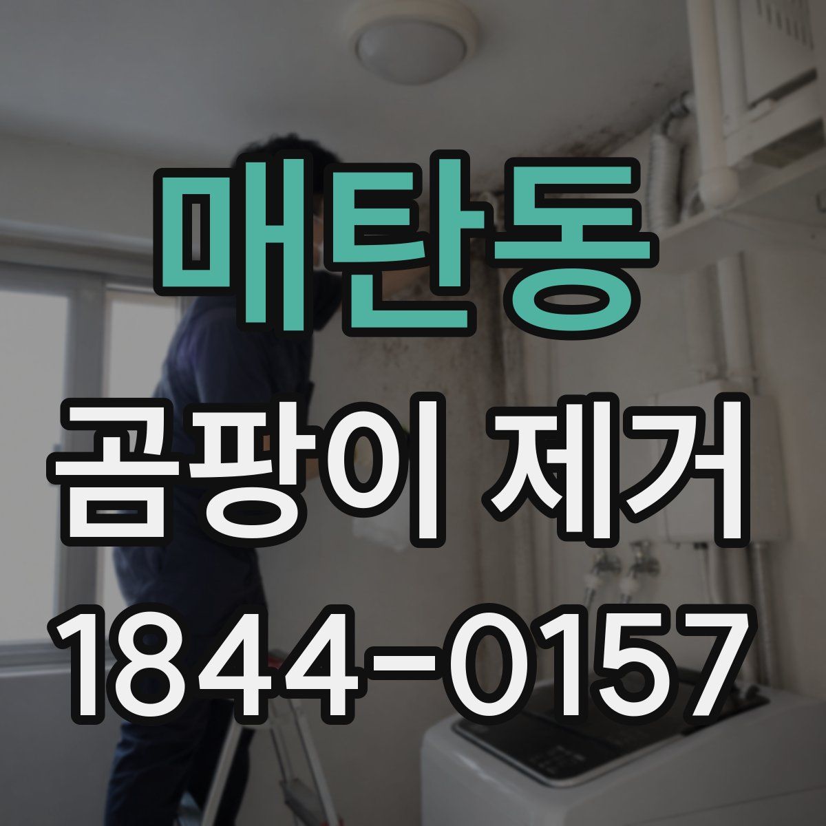 매탄동 곰팡이 제거