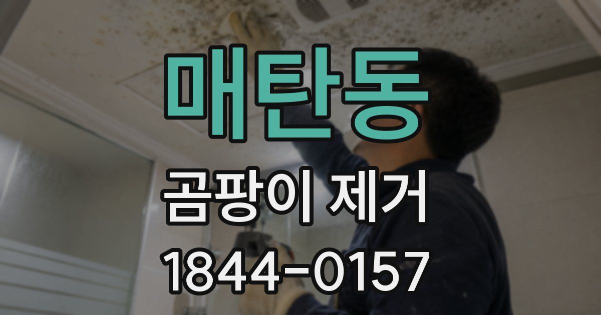 매탄동 곰팡이 제거