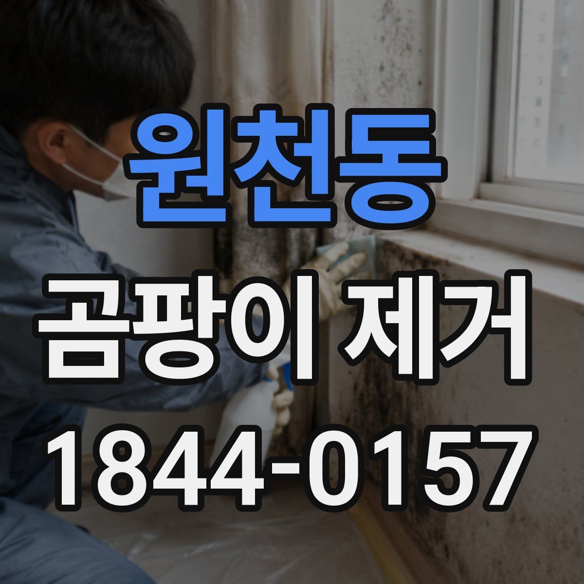 원천동 곰팡이 제거