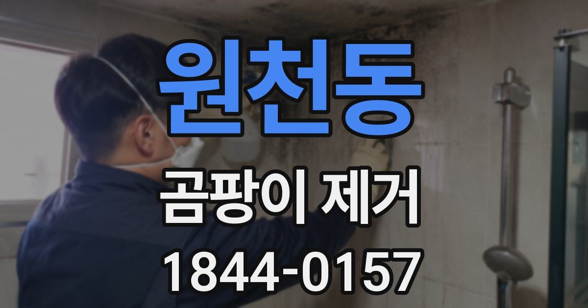 원천동 곰팡이 제거