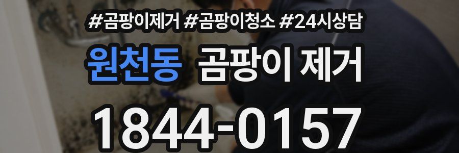 원천동 곰팡이 제거
