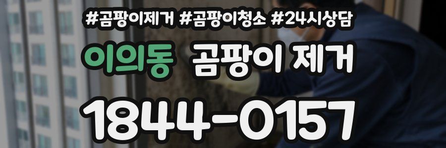 이의동 곰팡이 제거