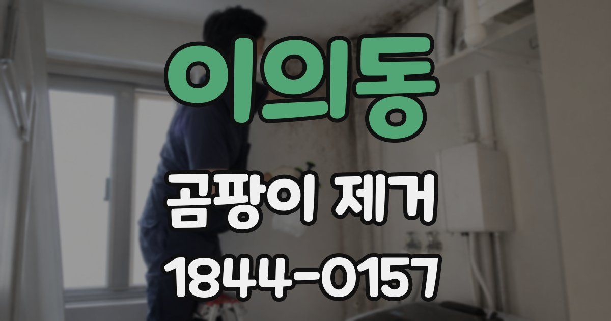 이의동 곰팡이 제거