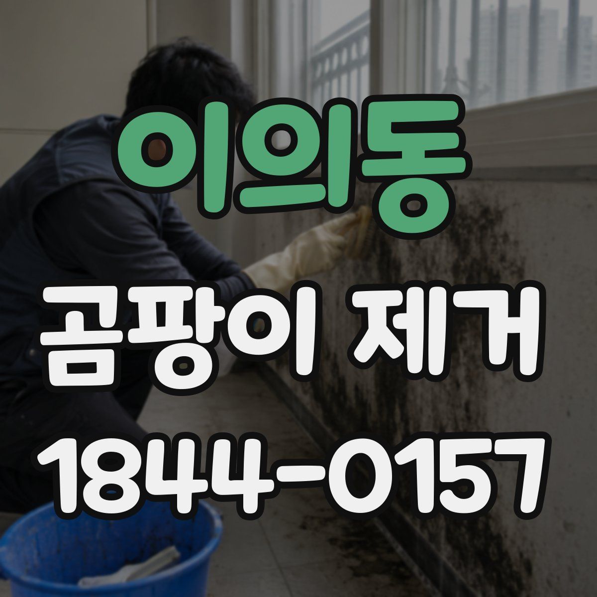 이의동 곰팡이 제거