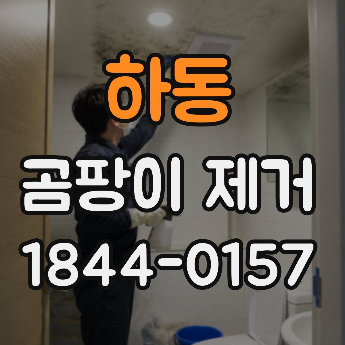 하동 곰팡이 제거
