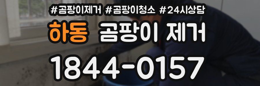 하동 곰팡이 제거