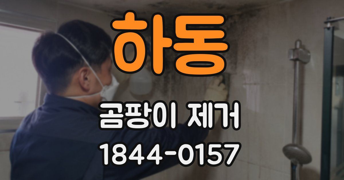 하동 곰팡이 제거