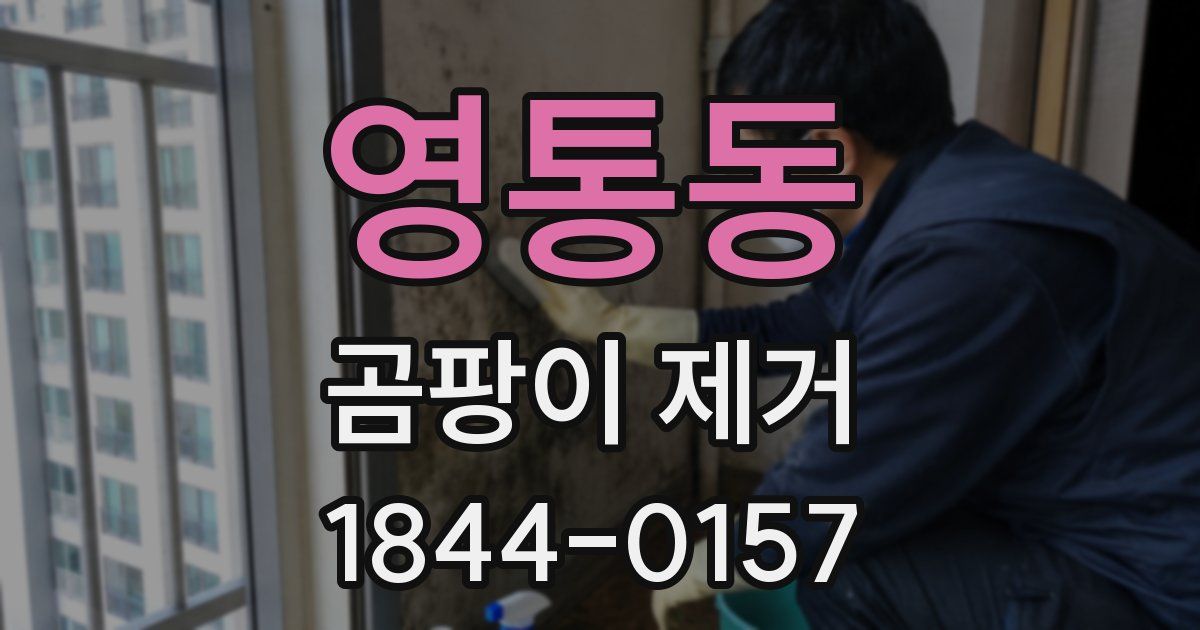 영통동 곰팡이 제거