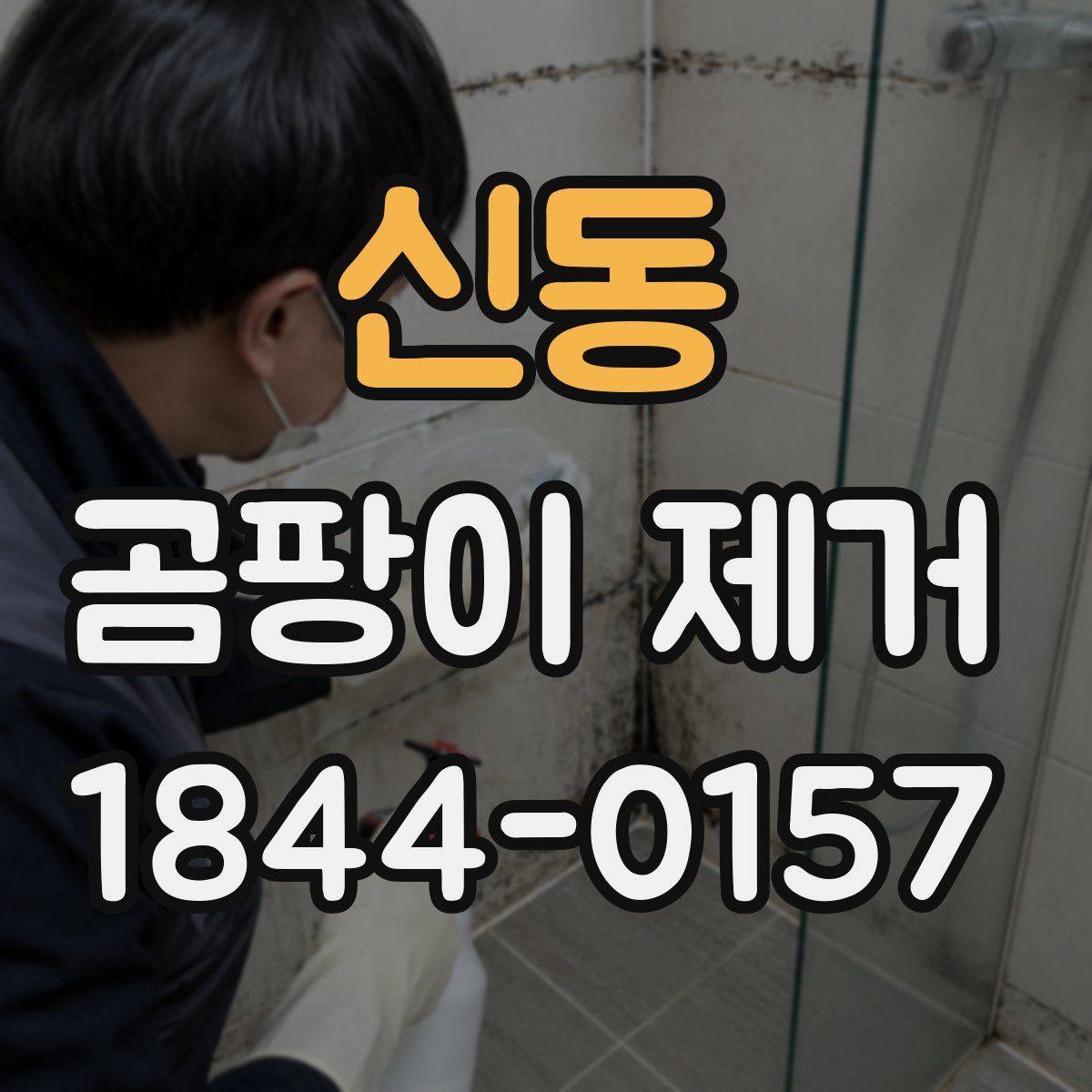 신동 곰팡이 제거