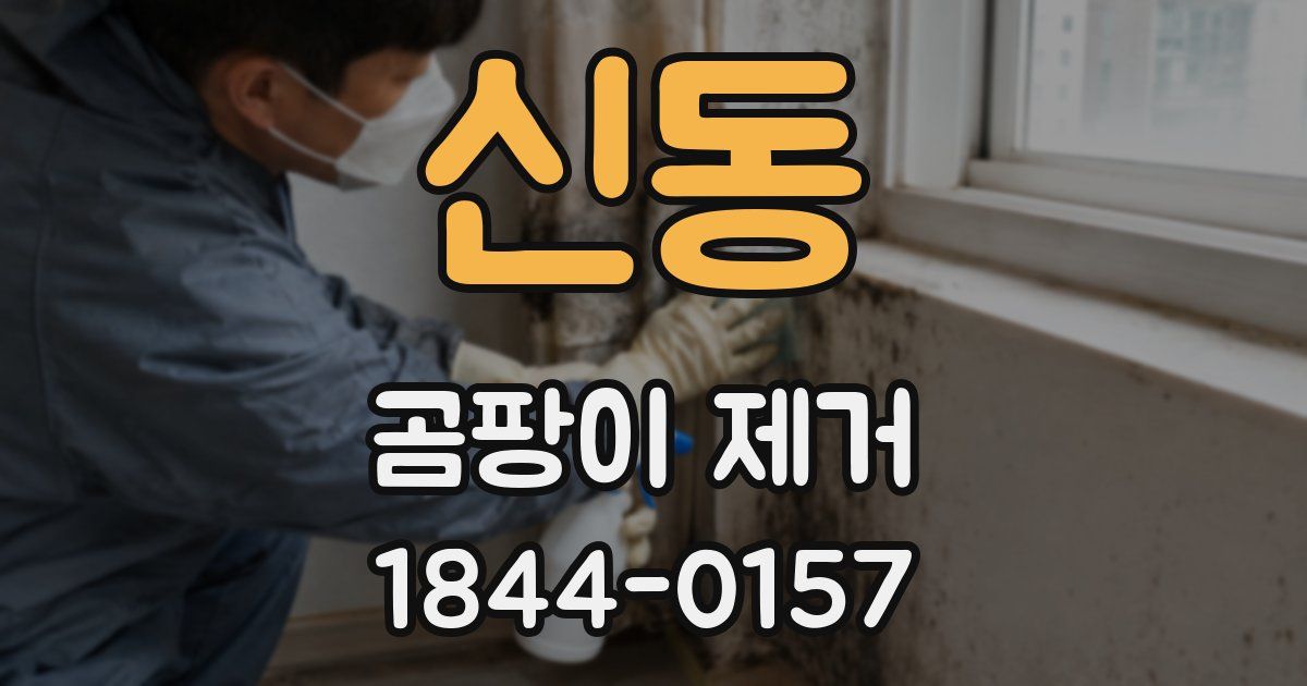 신동 곰팡이 제거