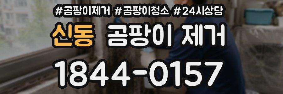 신동 곰팡이 제거