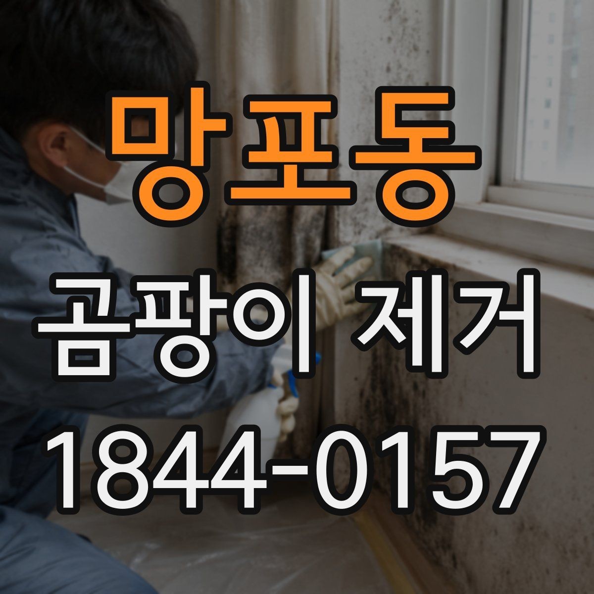 망포동 곰팡이 제거 원룸 벽지 상태부터 살펴봐야 하는 이유