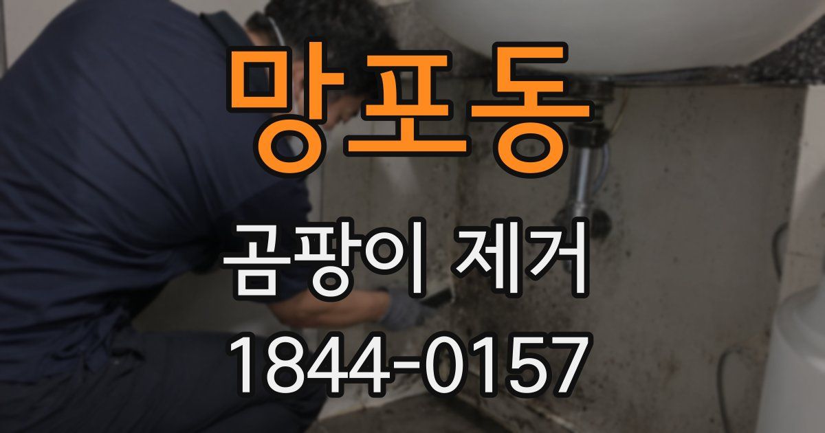 망포동 곰팡이 제거