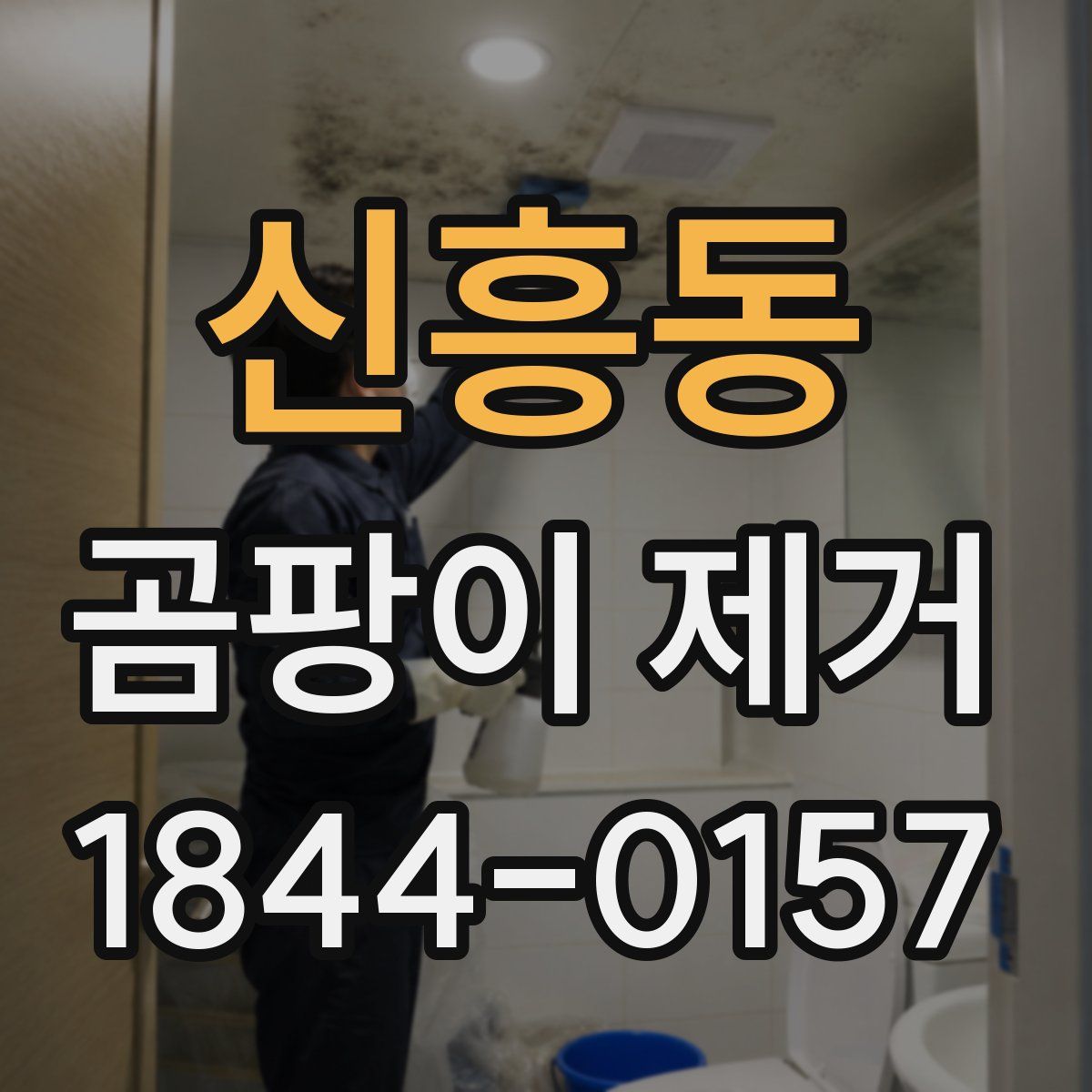 신흥동 곰팡이 제거