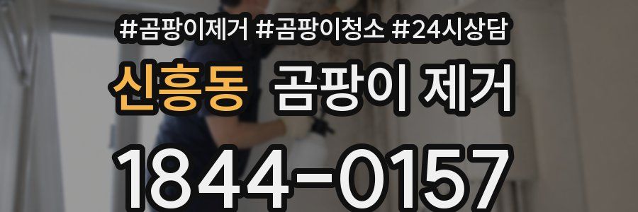신흥동 곰팡이 제거