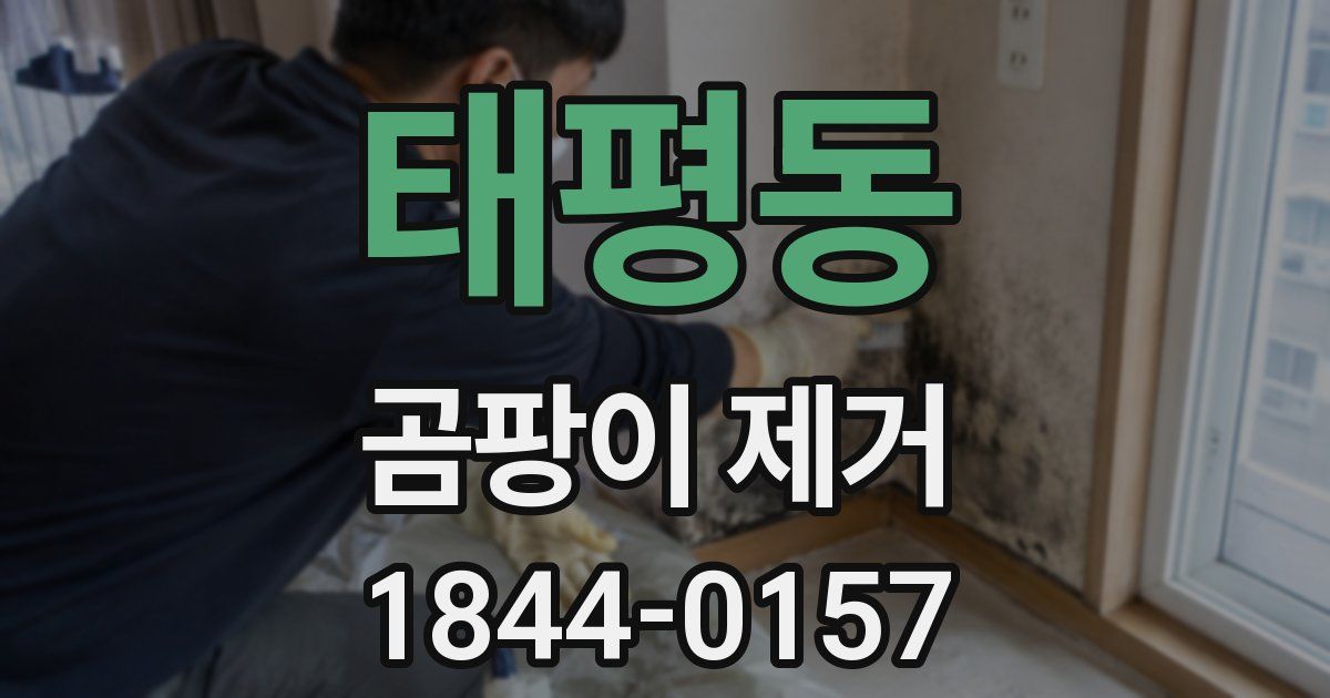 태평동 곰팡이 제거