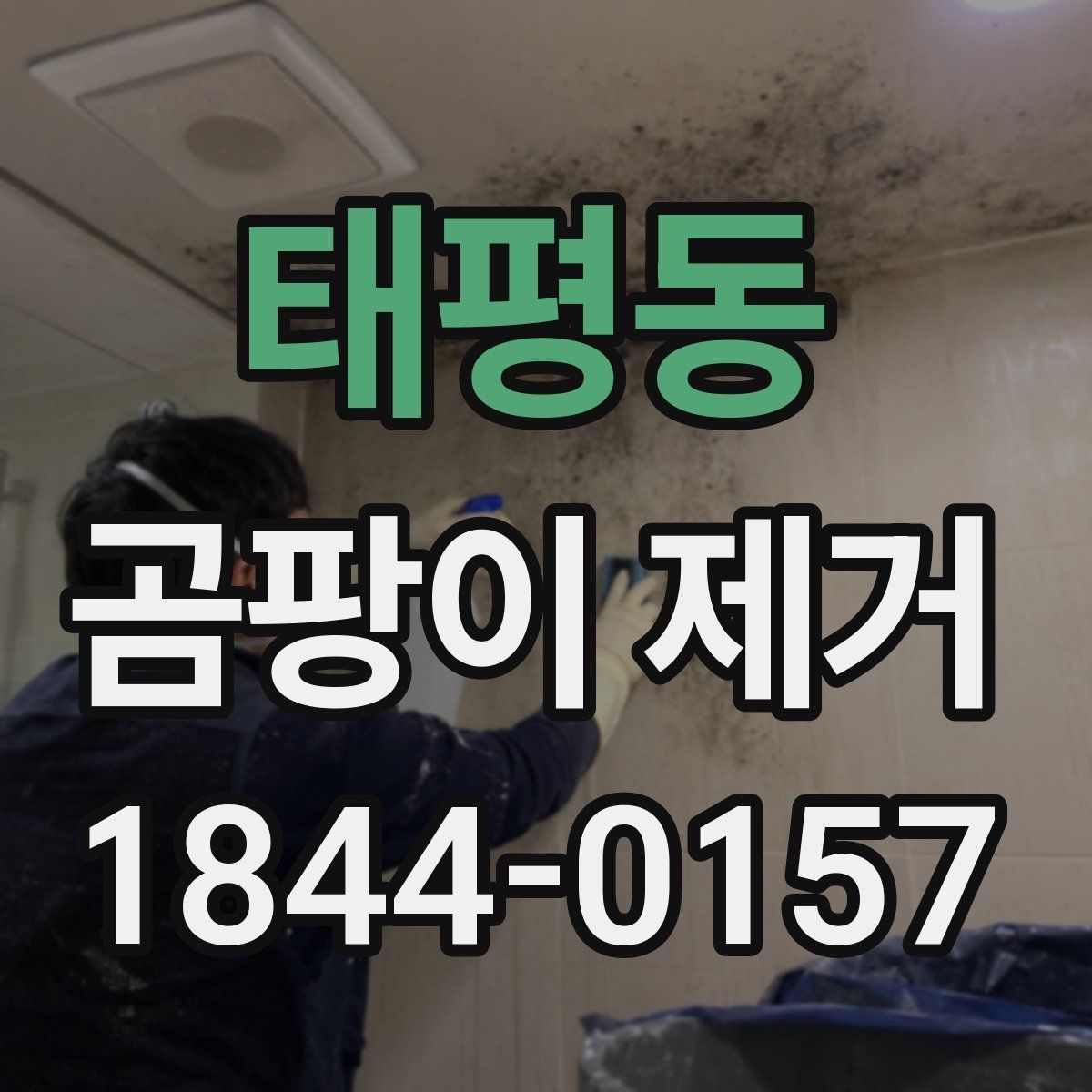태평동 곰팡이 제거