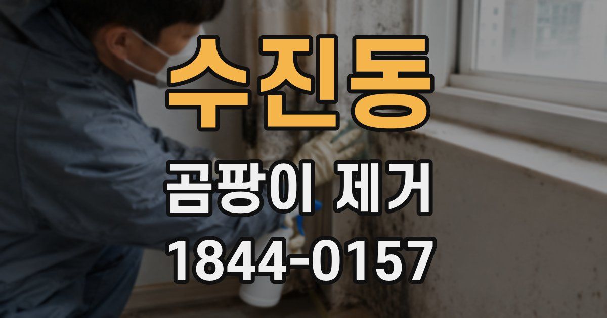 수진동 곰팡이 제거