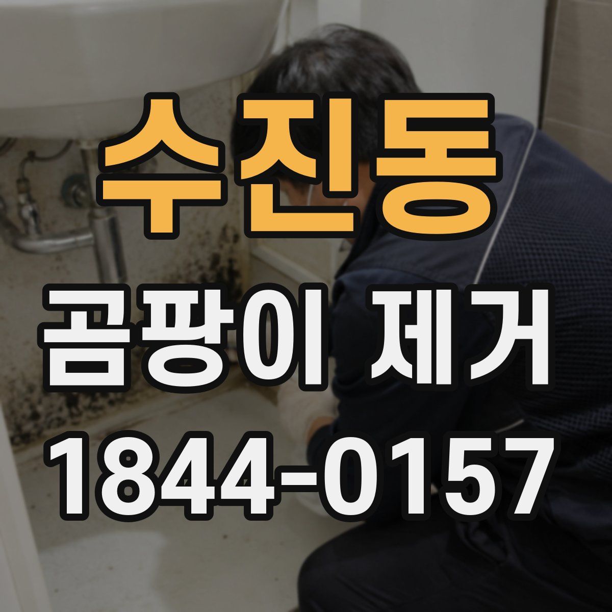 수진동 곰팡이 제거