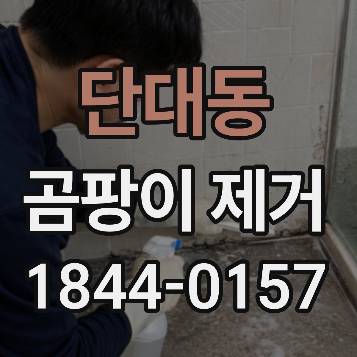 단대동 곰팡이 제거