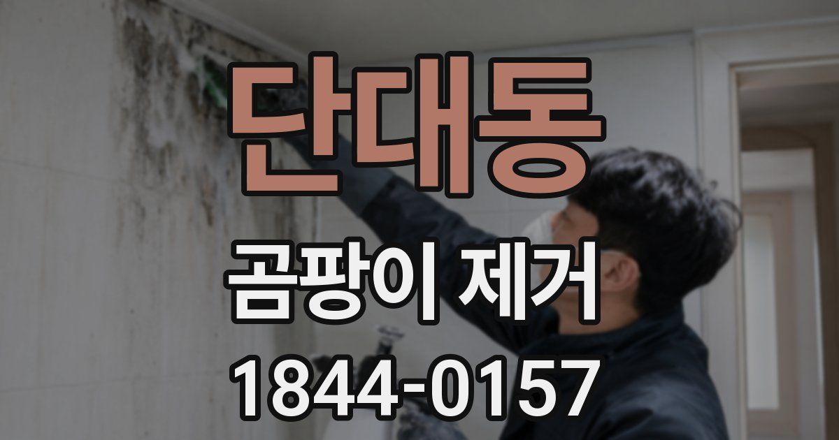 단대동 곰팡이 제거