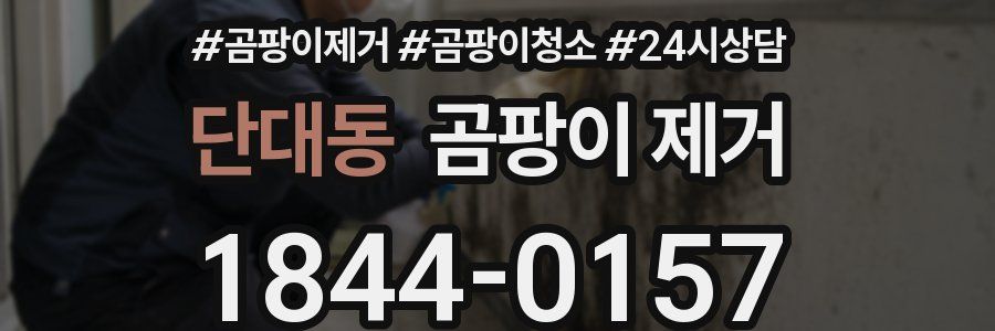 단대동 곰팡이 제거