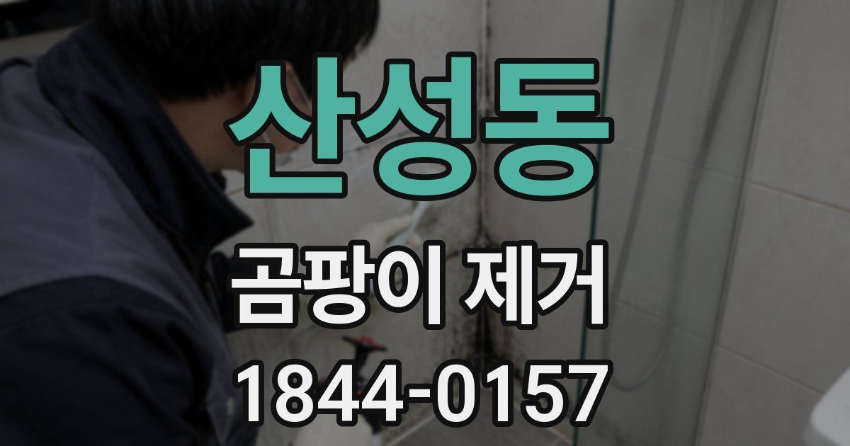 산성동 곰팡이 제거