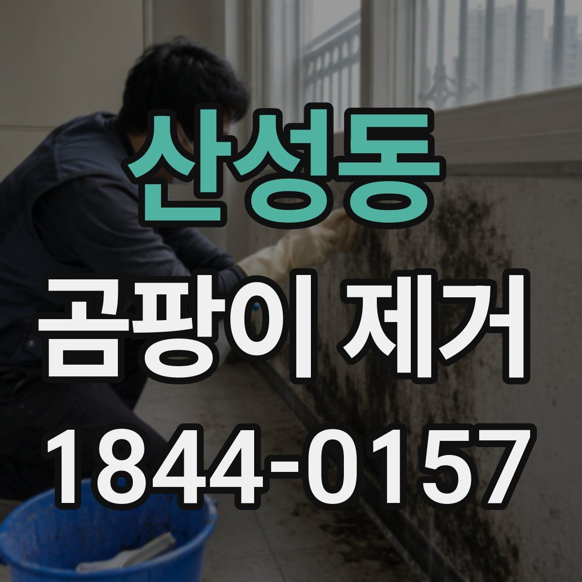 산성동 곰팡이 제거