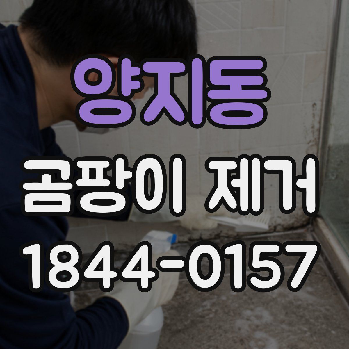 양지동 곰팡이 제거