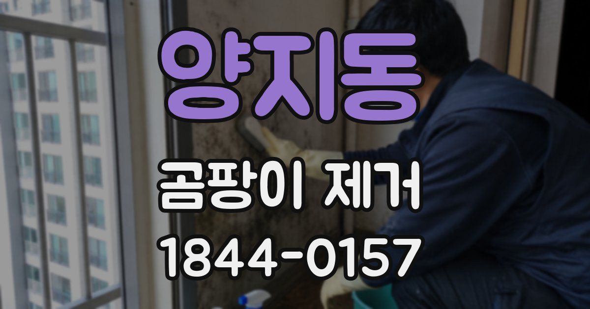 양지동 곰팡이 제거